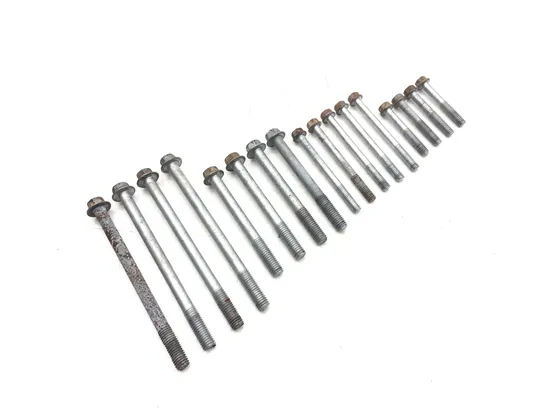 Engine Center Cases Case Bolts 2006 Kawasaki Brute Force 650 KVF650F 4x4i 3169