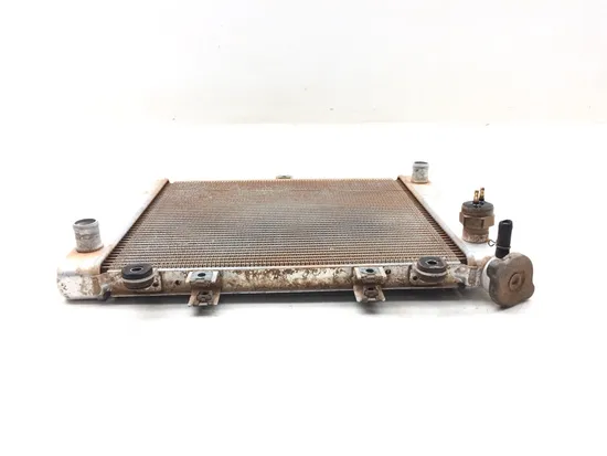 Engine Radiator Cooling 2006 Kawasaki Brute Force 650 KVF650F 4x4i 3169