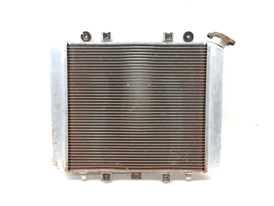 Engine Radiator Cooling 2006 Kawasaki Brute Force 650 KVF650F 4x4i 3169