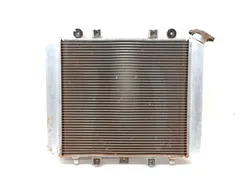 Engine Radiator Cooling 2006 Kawasaki Brute Force 650 KVF650F 4x4i 3169