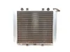 Engine Radiator Cooling 2006 Kawasaki Brute Force 650 KVF650F 4x4i 3169