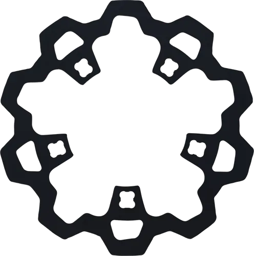 Lyndall Enforcer 1pc Front Brake Rotor 11.8in. Black