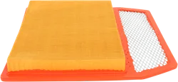 Moose Dual Layer Dry Paper Air Filter