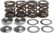 Kibblewhite  Titanium Intake Exhaust Valve Spring Kit