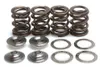 Kibblewhite  Titanium Intake Exhaust Valve Spring Kit