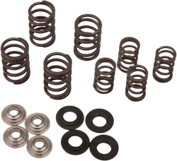 Kibblewhite  Titanium Intake Exhaust Valve Spring Kit
