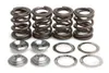 Kibblewhite Intake Exhaust Valve Spring Kit