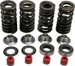 Kibblewhite Titanium Intake Exhaust Valve Spring Kit