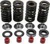 Kibblewhite Titanium Intake Exhaust Valve Spring Kit