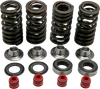 Kibblewhite Titanium Intake Exhaust Valve Spring Kit