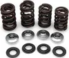Kibblewhite Titanium Intake Exhaust Valve Spring Kit