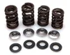Kibblewhite Titanium Intake Exhaust Valve Spring Kit
