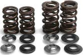 Kibblewhite Titanium Steel Intake Exhaust Valve Spring Kit