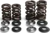 Kibblewhite Titanium Steel Intake Exhaust Valve Spring Kit