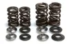 Kibblewhite Titanium Steel Intake Exhaust Valve Spring Kit