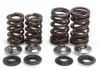 Kibblewhite Intake Exhaust Valve Spring Kit