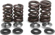Kibblewhite Titanium Intake Exhaust Valve Spring Kit