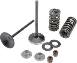 Kibblewhite Stainless Steel Conversion Intake Valve Spring Kit
