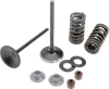 Kibblewhite Stainless Steel Conversion Intake Valve Spring Kit