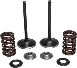 Kibblewhite  Stainless Steel Conversion Intake Valve Spring Kit