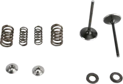Kibblewhite  Stainless Steel Conversion Intake Valve Spring Kit