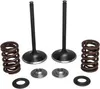 Kibblewhite  Stainless Steel Conversion Intake Valve Spring Kit