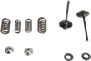 Kibblewhite  Stainless Steel Conversion Intake Valve Spring Kit