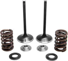Kibblewhite Stainless Steel Conversion Intake Valve Spring Kit
