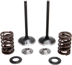 Kibblewhite  Stainless Steel Conversion Intake Valve Spring Kit