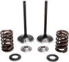 Kibblewhite  Stainless Steel Conversion Intake Valve Spring Kit