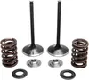 Kibblewhite  Stainless Steel Conversion Intake Valve Spring Kit