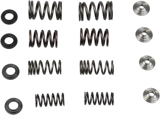 Kibblewhite Titanium Intake Exhaust Valve Spring Kit