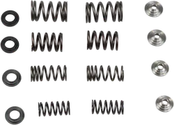Kibblewhite Titanium Intake Exhaust Valve Spring Kit