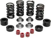 KibbleWhite Racing Exhaust Intake Valve Spring Kit