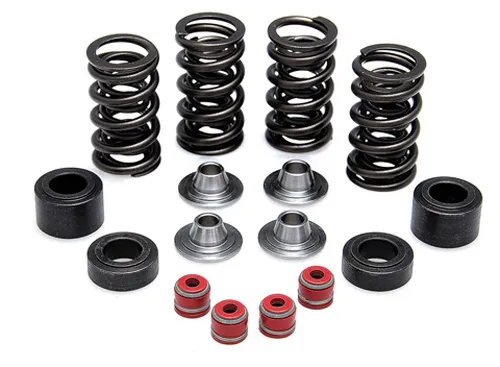 KibbleWhite Racing Exhaust Intake Valve Spring Kit