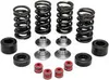KibbleWhite Racing Exhaust Intake Valve Spring Kit