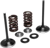 Kibblewhite Stainless Steel Conversion Intake Valve Spring Kit