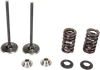 Kibblewhite Stainless Steel Conversion Intake Valve Spring Kit