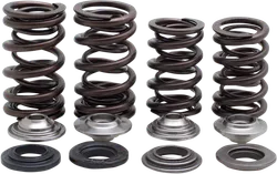 Kibblewhite Titanium Intake Exhaust Valve Spring Kit