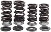 Kibblewhite Titanium Intake Exhaust Valve Spring Kit