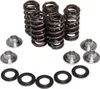 Kibblewhite Titanium Intake Exhaust Valve Spring Kit