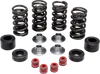 Kibblewhite Titanium Intake Exhaust Valve Spring Kit