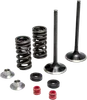 Kibblewhite Stainless Steel Conversion Intake Valve Spring Kit