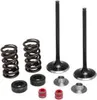 Kibblewhite Stainless Steel Conversion Intake Valve Spring Kit