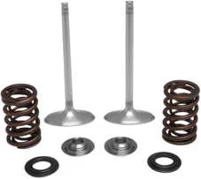 Kibblewhite Stainless Steel Conversion Intake Valve Spring Kit