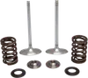 Kibblewhite Stainless Steel Conversion Intake Valve Spring Kit