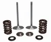 Kibblewhite Stainless Steel Conversion Intake Valve Spring Kit