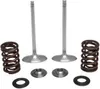 Kibblewhite Stainless Steel Conversion Intake Valve Spring Kit