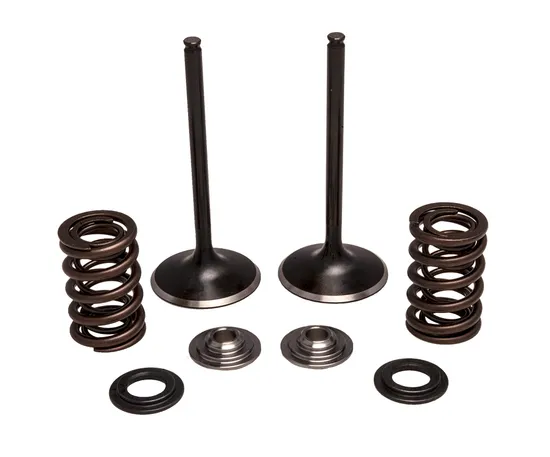 Kibblewhite Stainless Steel Conversion Intake Valve Spring Kit