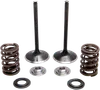 Kibblewhite Stainless Steel Conversion Intake Valve Spring Kit